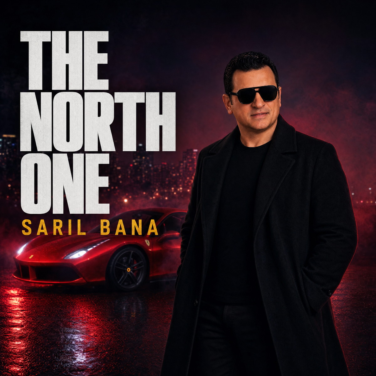 Sarıl Bana artwork by The North One